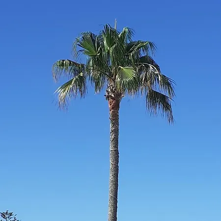 Casa Blanca * Arrecife